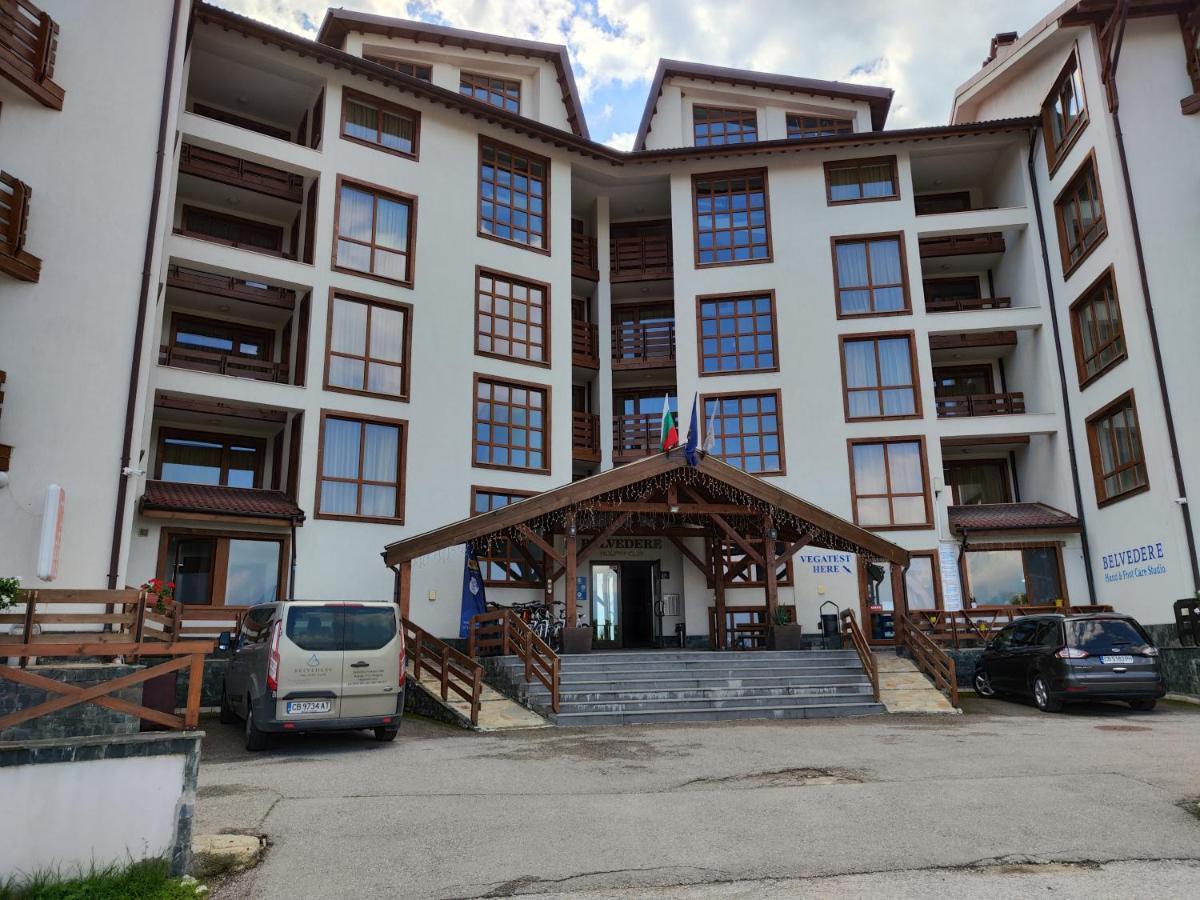 Apartament Belvedere *